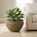 Single Mahi Wide planter in a living room