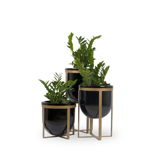 Lipto FRP Planter Black