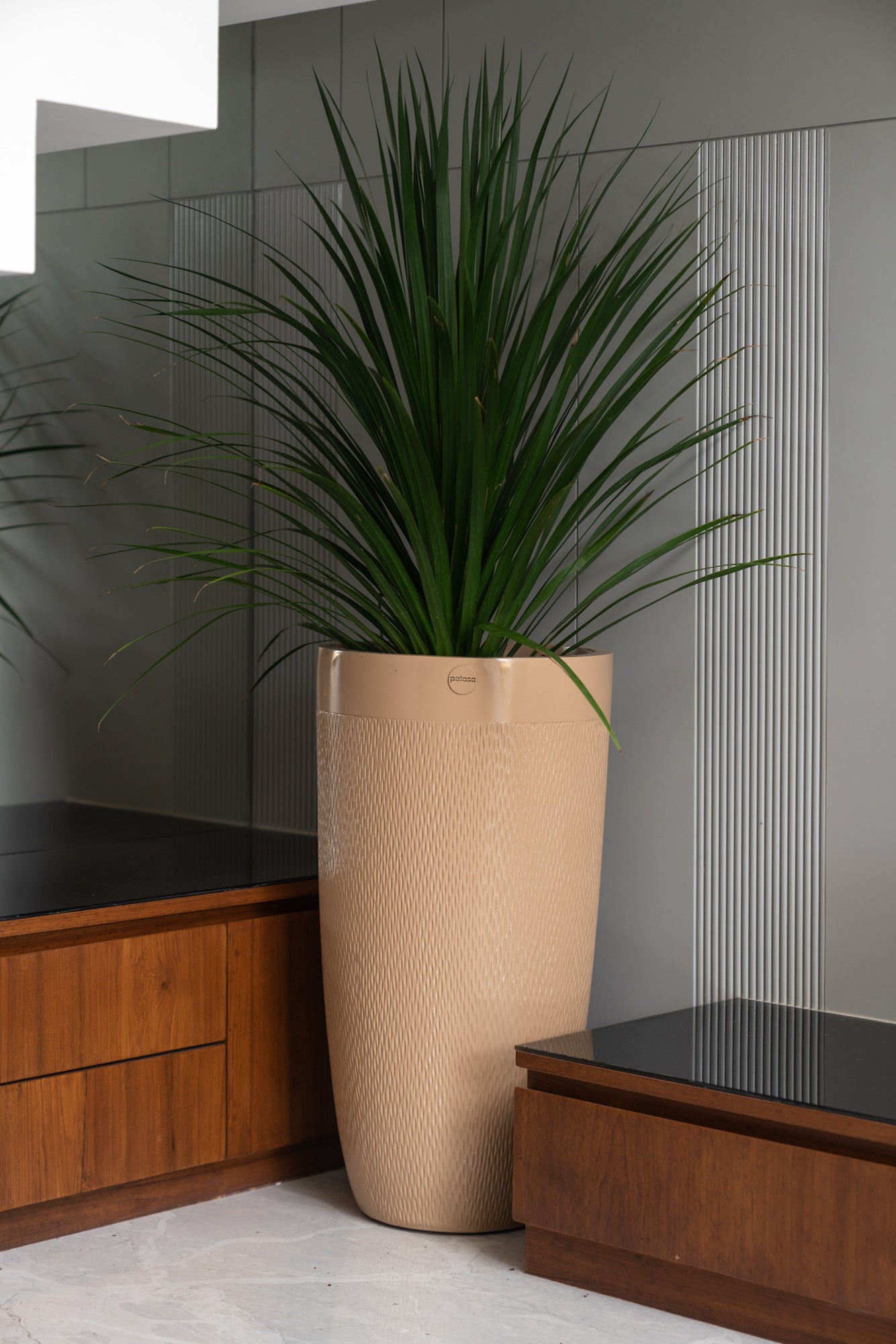 Design your living spaces with our best seller- Milano Planter. A stunning blend of style and functionality, this slender and sleek planter can bring any dull corner to life making it a perfect addition to any home.