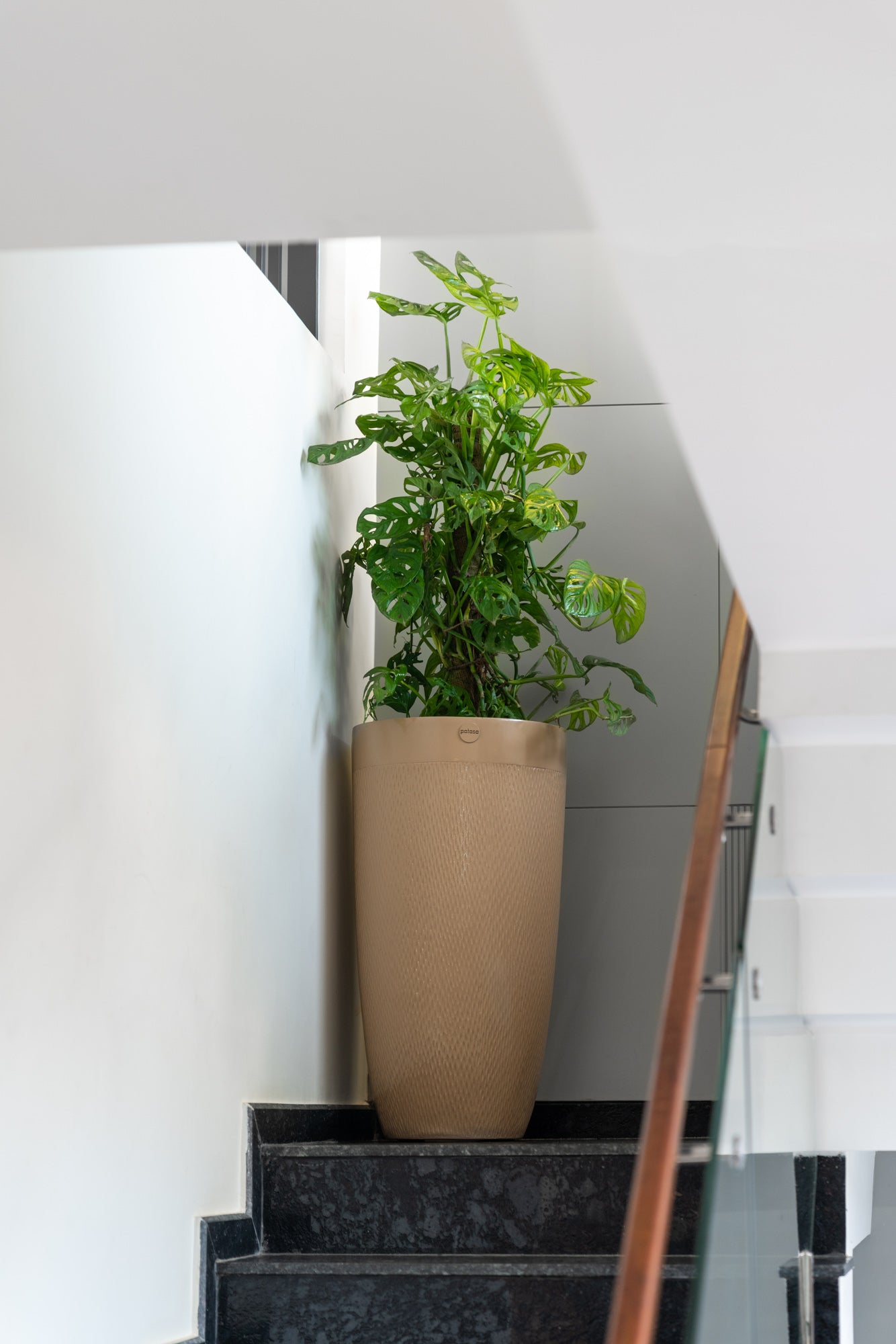 Design your living spaces with our best seller- Milano Planter. A stunning blend of style and functionality, this slender and sleek planter can bring any dull corner to life making it a perfect addition to any home.