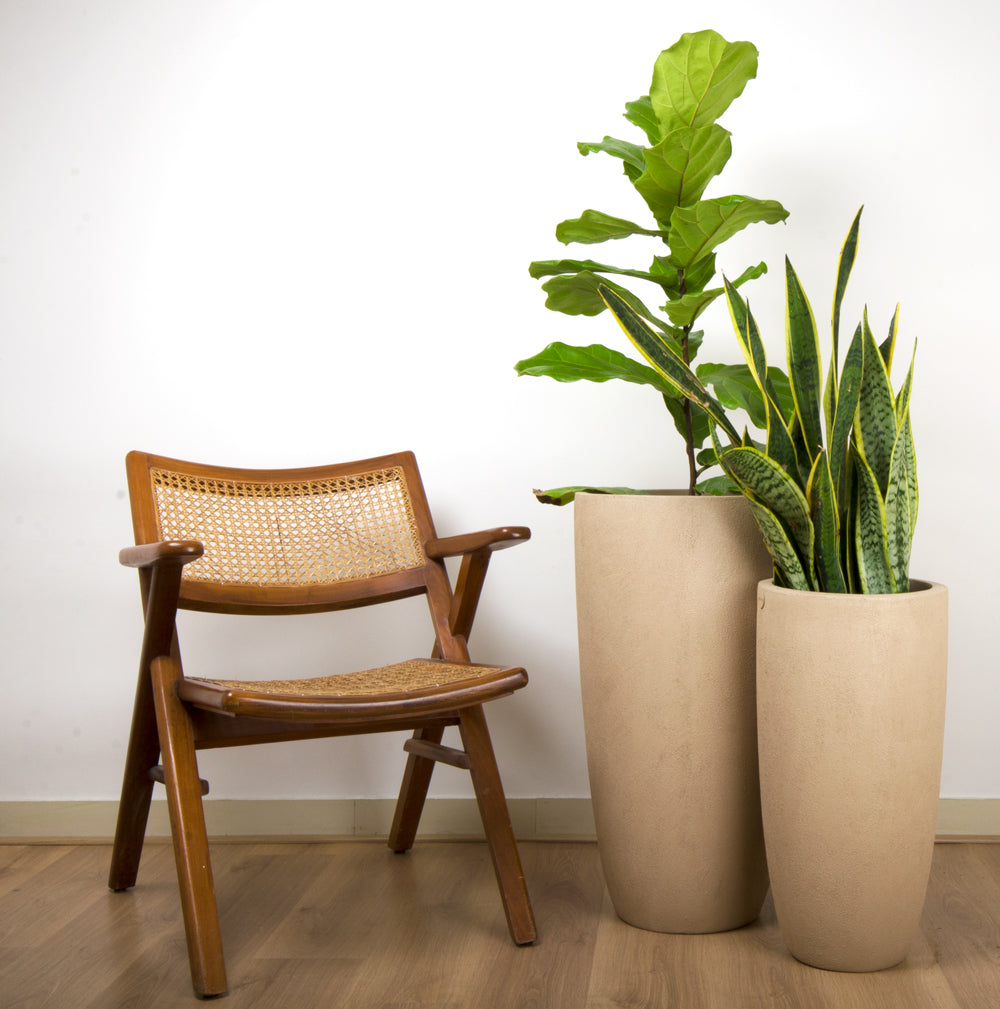 Saturn FRP Planter, perfect for decorating any corner of your home. This sleek yet lightweight planter comes in many colours, making it a great choice for smaller homes and balconies. Easily rearrange it to match any style.