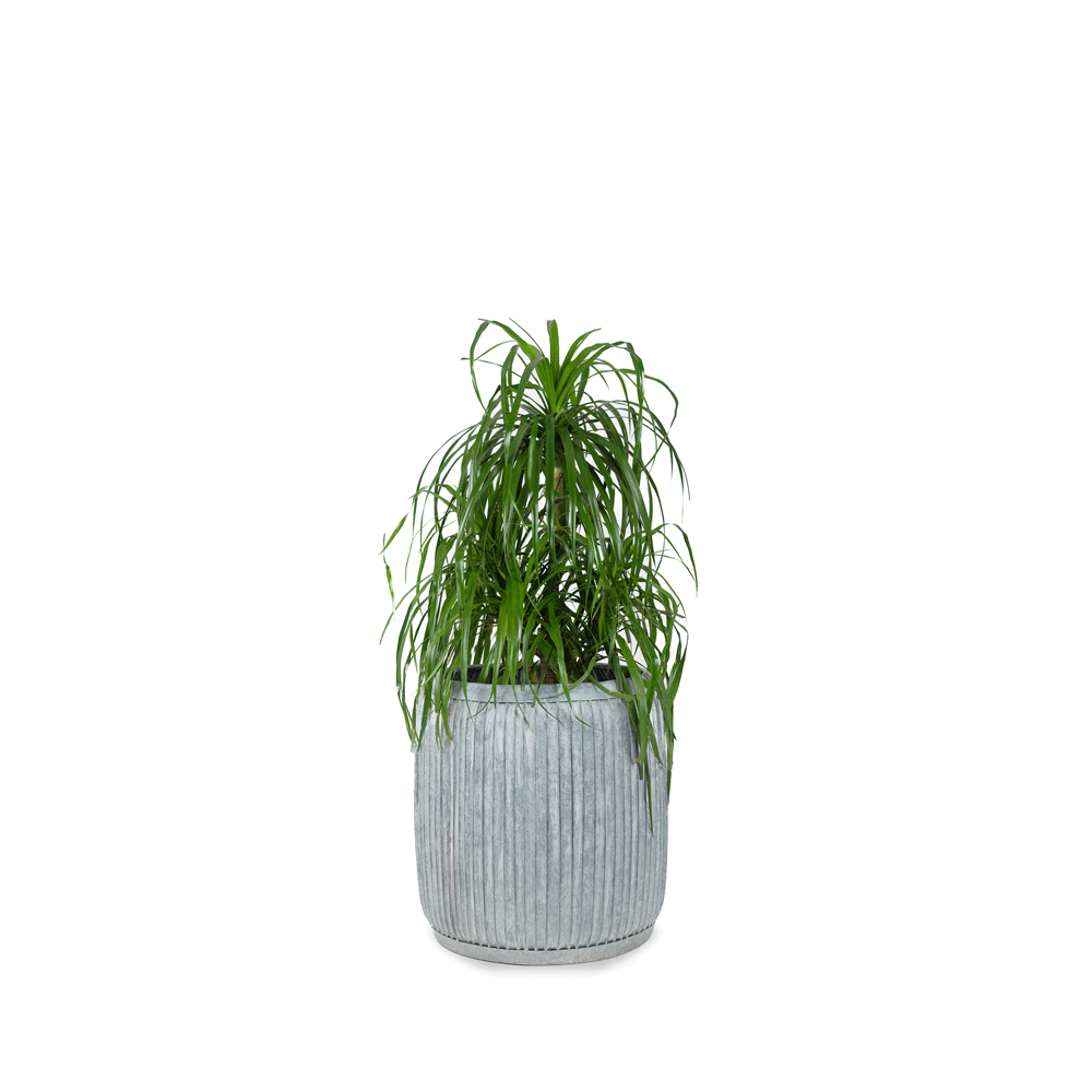 Stripes Planter