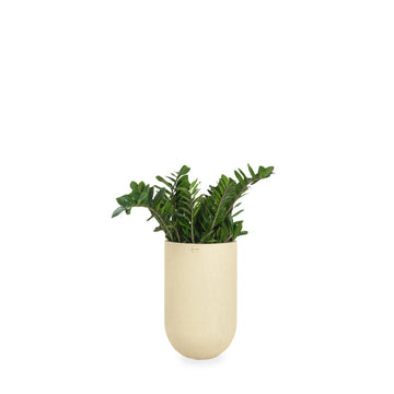 Ammo FRP Floor Planter