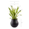 The Black Zuri round FRP Planter by Palasa is an ideal fit for classic and contemporary residences and gardens. This Large plant pot can be used indoors and outdoors.