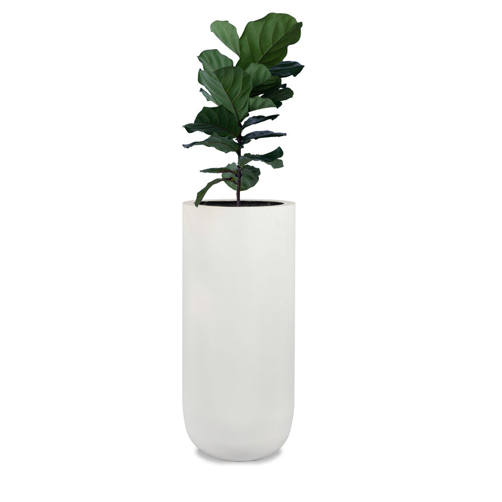 This white round large planter set is an ideal fit for classic and contemporary residences and gardens. Its sleek, tall structure makes it perfect for a single planter or as a set of three. This large FRP planter box is sure to become  a statement planter in your home.