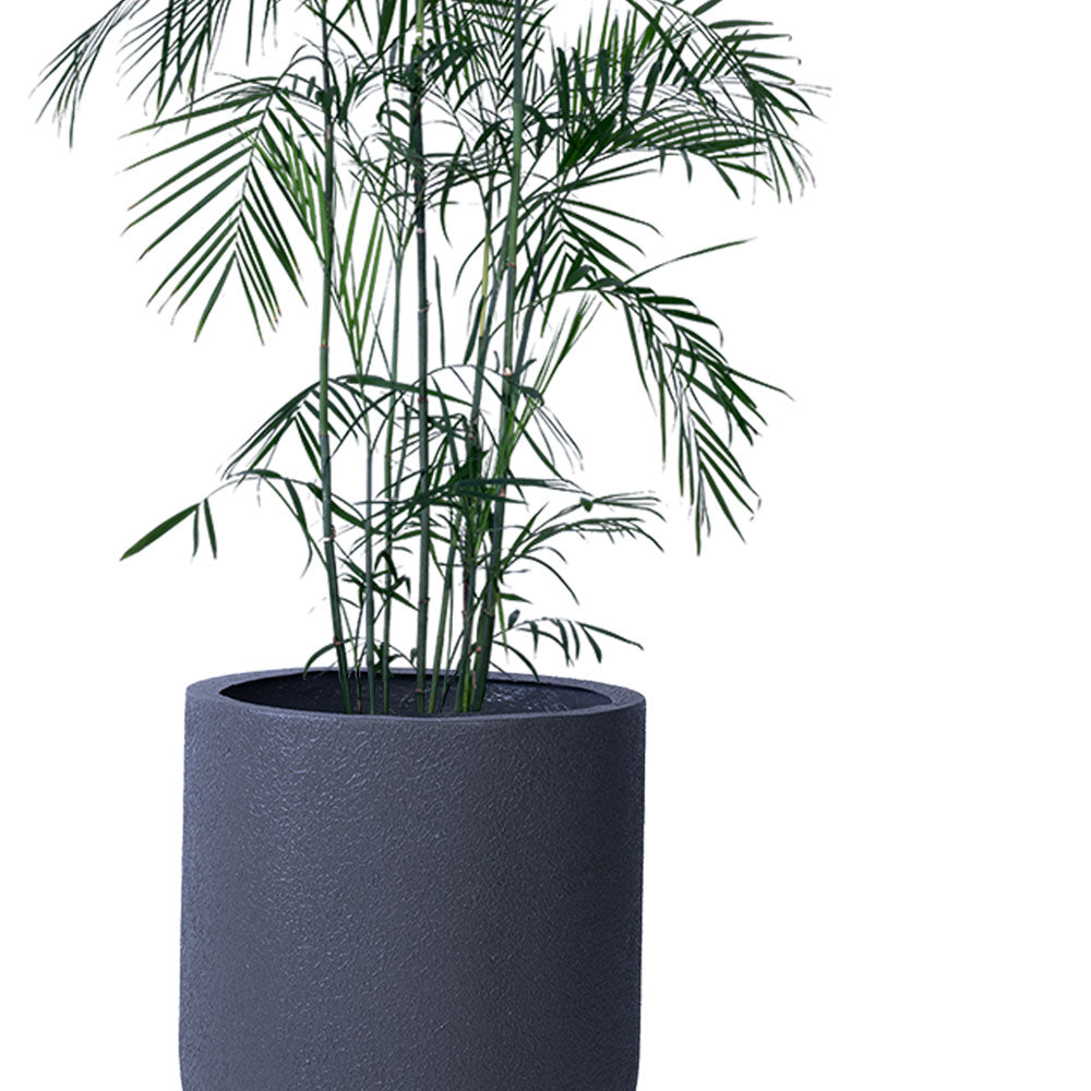This grey round large planter set is an ideal fit for classic and contemporary residences and gardens. Its sleek, tall structure makes it perfect for a single planter or as a set of three. This large FRP planter box is sure to become  a statement planter in your home or balcony.   