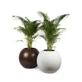 Buy round ball planters online india