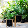 Lipto Planter Black - Studio Palasa