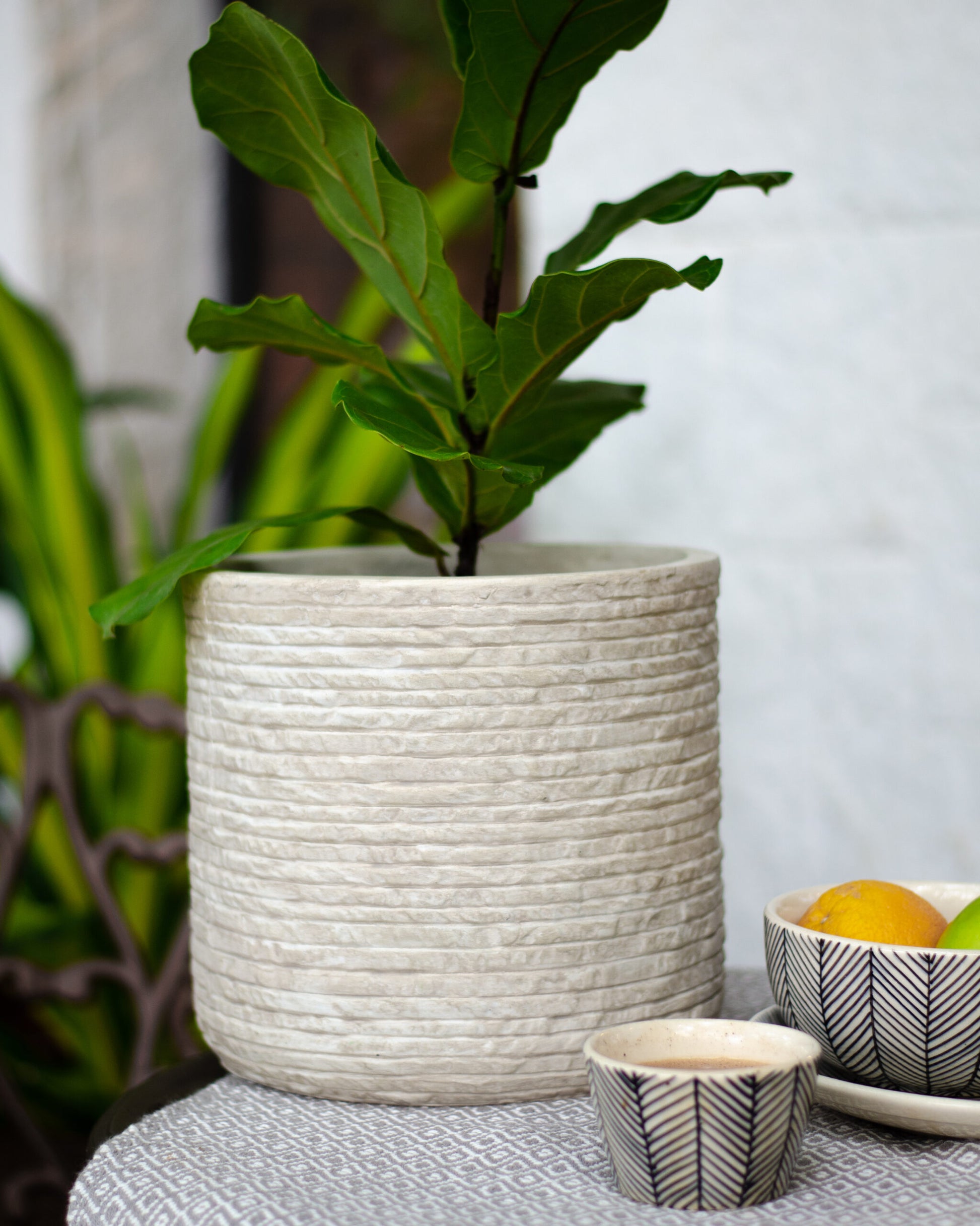 The GRC Marley Planter by Studio Palasa. This concrete large Planter pot has a raw textured look that works in any home or garden. Long planter with a beautiful dual tone finish.