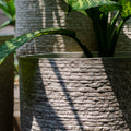 The GRC Marley Planter by Studio Palasa. This  concrete large Planter pot has a raw textured look that works in any home or garden. Long planter with a beautiful dual tone finish.