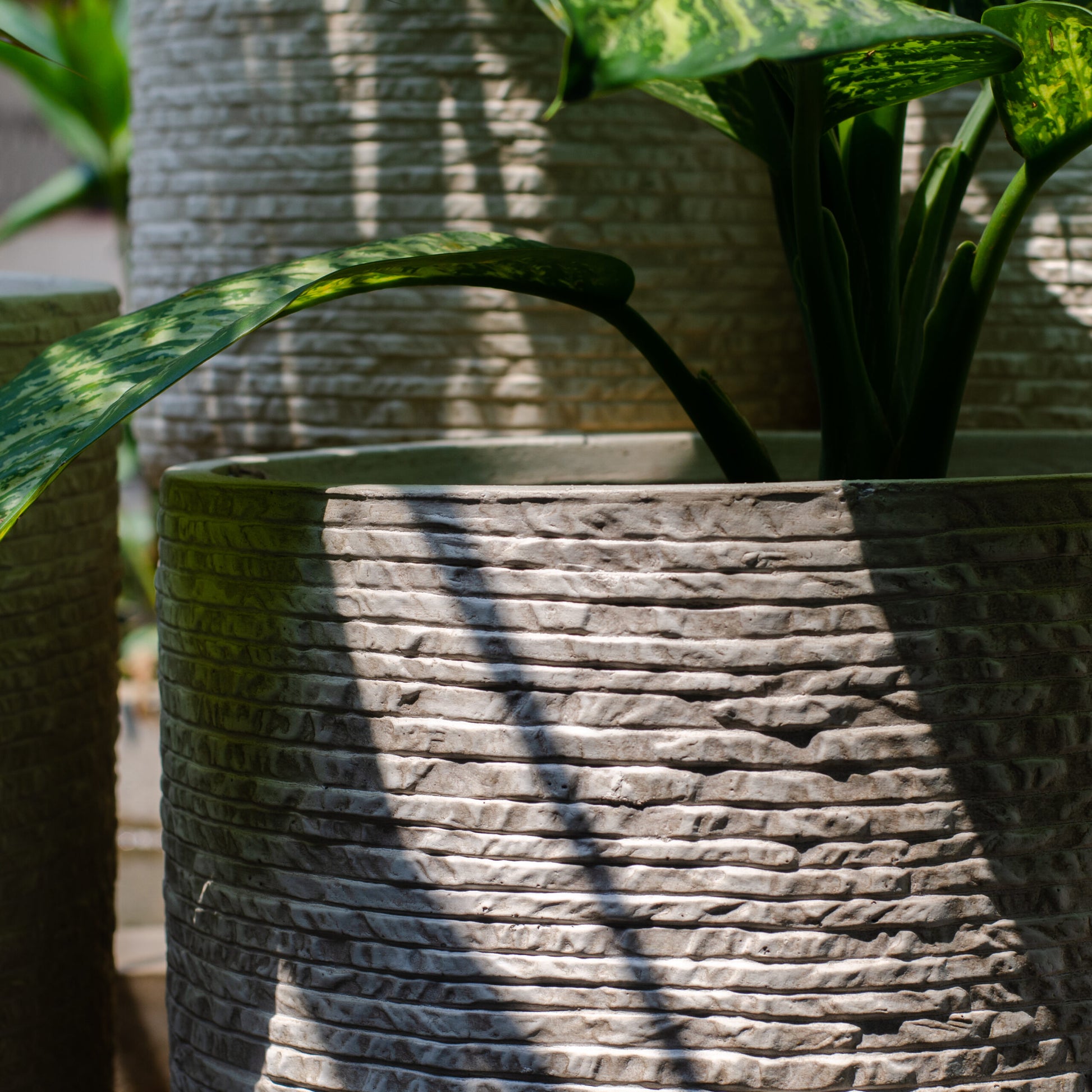 The Marley Planter - Studio Palasa