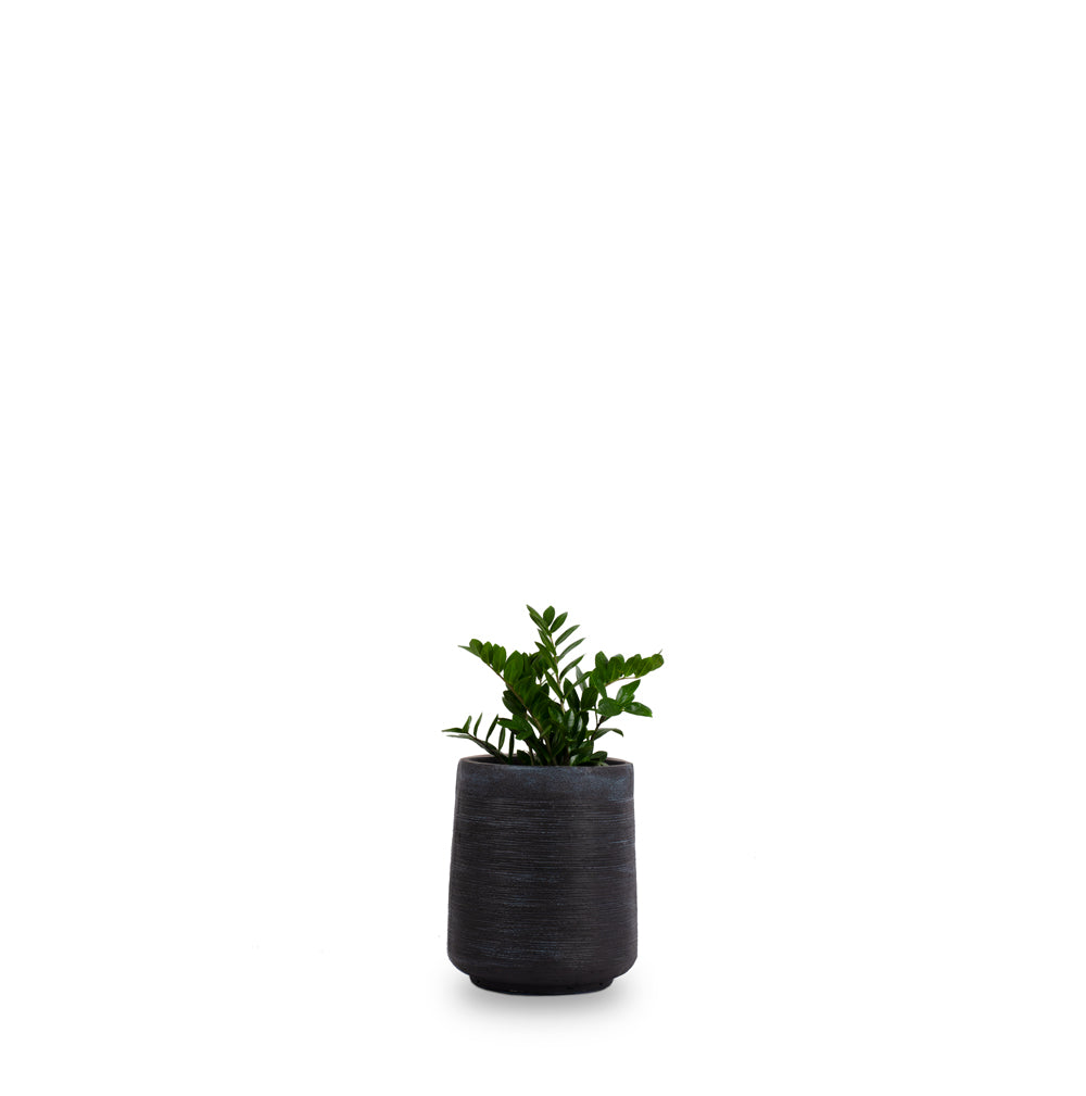 Buy GRC Black Planter Pots Online in India