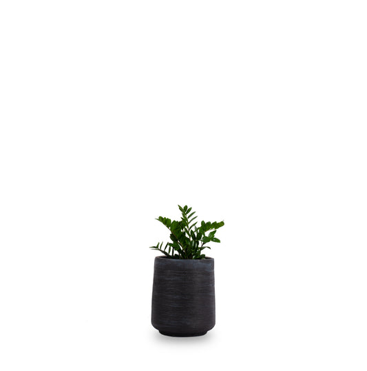 Halo Circular GRC Planter