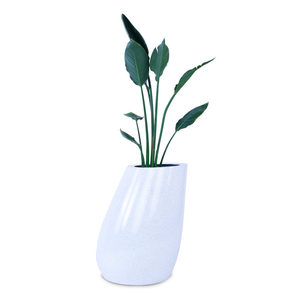 Leaning Planter - Studio Palasa