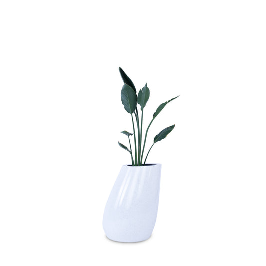 Leaning Planter - Studio Palasa