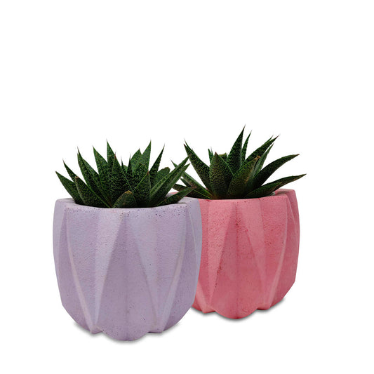 Nordic Planter - Studio Palasa