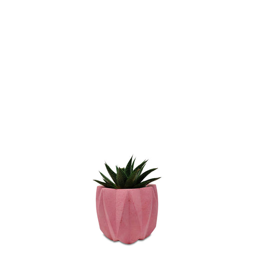 Nordic Planter - Studio Palasa