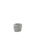 Owl Planter - Studio Palasa
