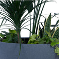 Patio Planter - Studio Palasa