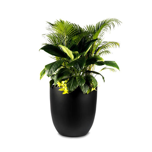 Our Circular Reservoir FRP  Planter is lightweight and strong, perfect for both indoor and outdoor use. Its sleek edges will surely make a statement in commercial or residential spaces! 