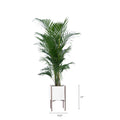 Rolld Small with Metal Stands - Studio Palasa