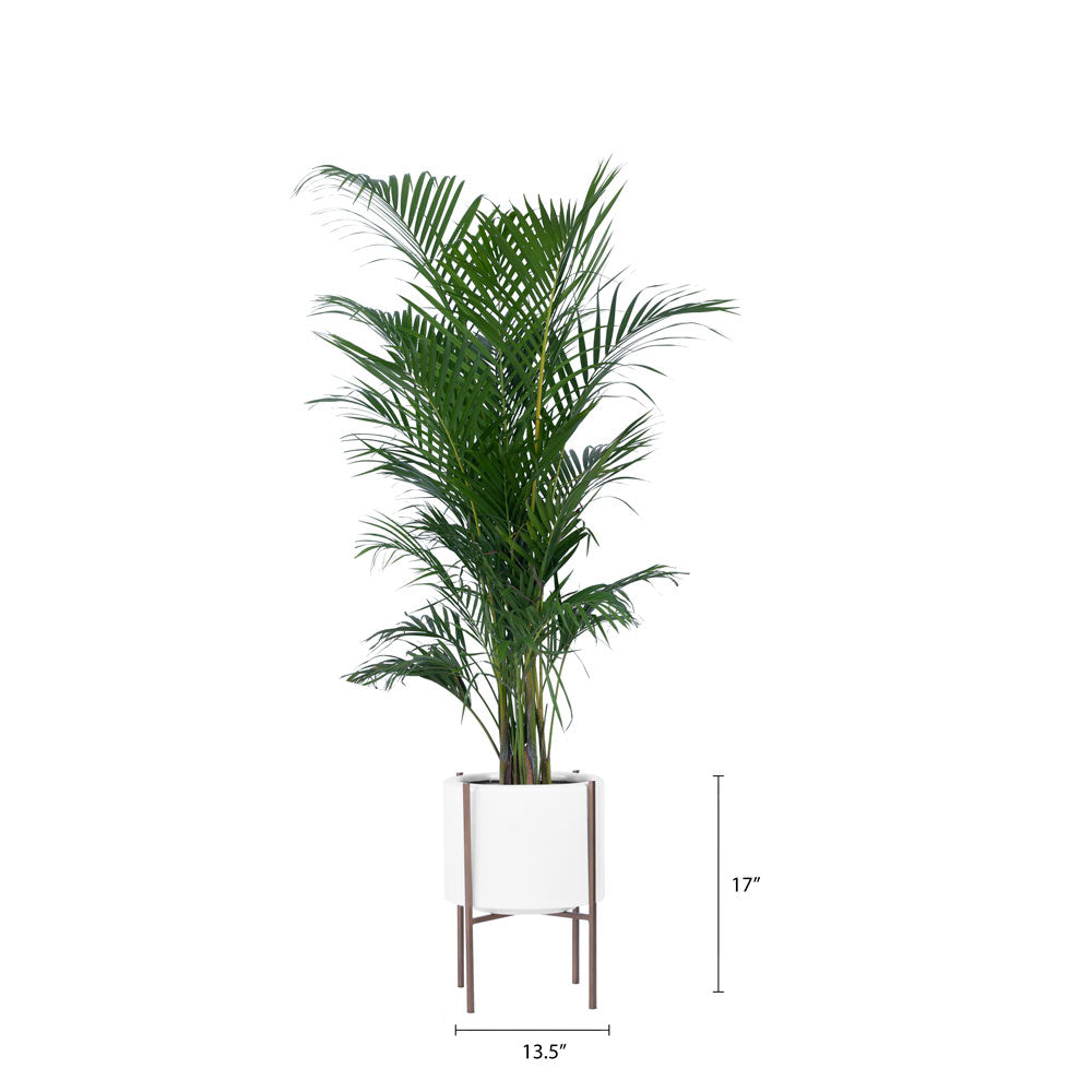 Rolld Small with Metal Stands - Studio Palasa