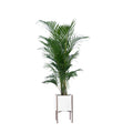 Rolld Small with Metal Stands - Studio Palasa