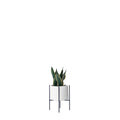Rolld Small with Metal Stands - Studio Palasa