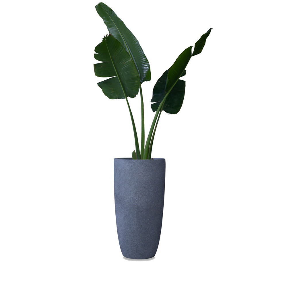 Saturn Circular FRP Planter, perfect for decorating any corner of your home. This sleek yet lightweight round planter comes in many colours, making it a great choice for smaller homes and balconies. Easily rearrange it to match any style.