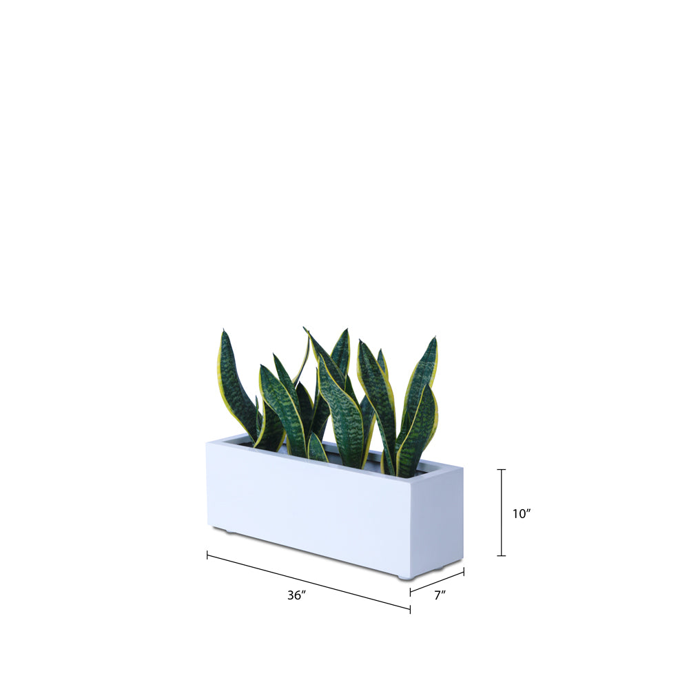 This Sland FRP Rectangular Planter Pot is perfect for any garden. Its sleek modern design and lightweight material make it great for herbs, kitchen garden, balcony garden, or even indoors. The rectangular design is perfect smaller spaces. 