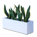 This Sland FRP Rectangular Planter Pot is perfect for any garden. Its sleek modern design and lightweight material make it great for herbs, kitchen garden, balcony garden, or even indoors. The rectangular design is perfect smaller spaces. 