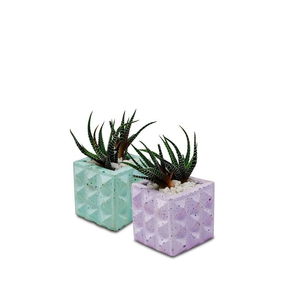 Square Geometric Planter - Studio Palasa