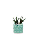 Square Geometric Planter - Studio Palasa