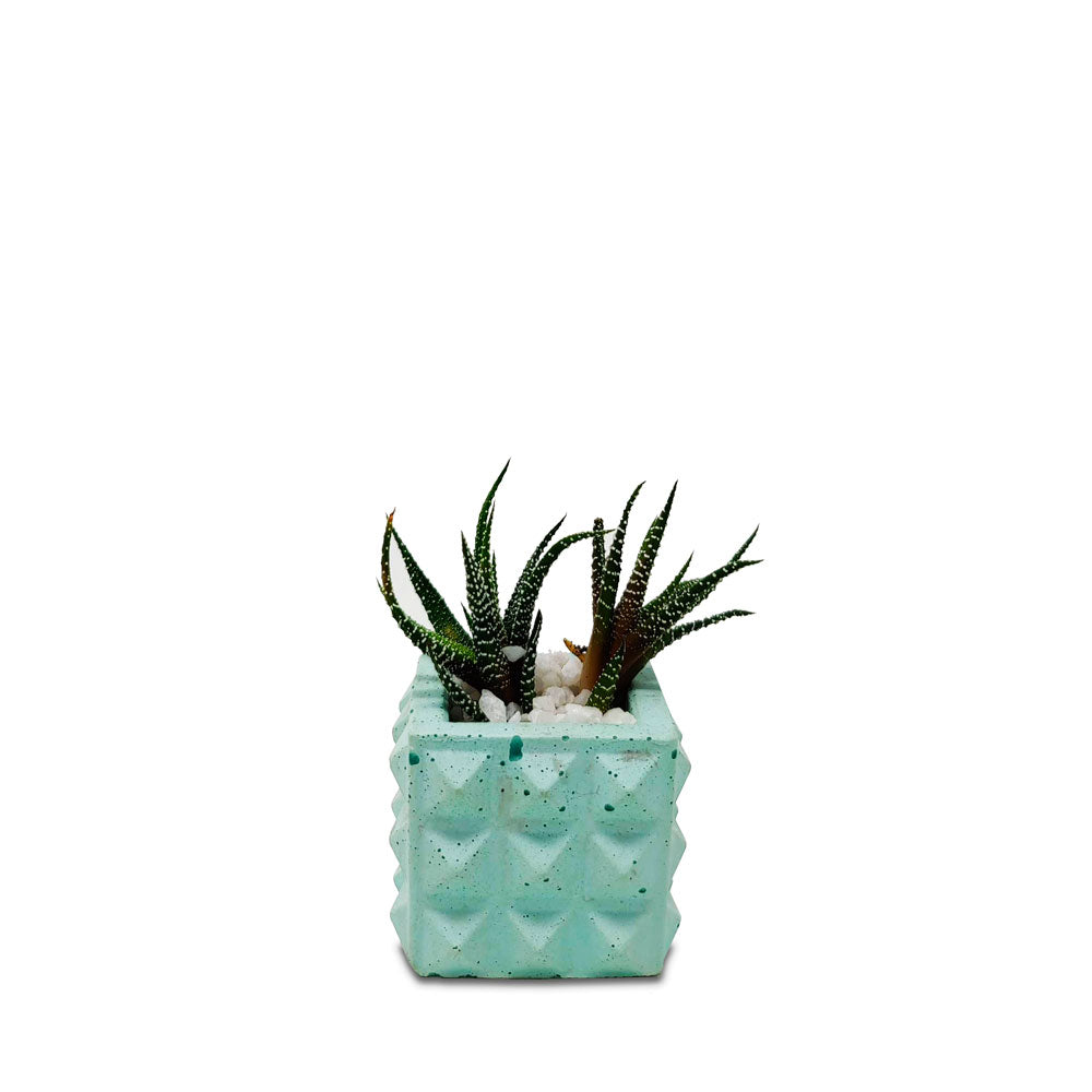 Square Geometric Planter - Studio Palasa