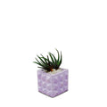 Square Geometric Planter - Studio Palasa