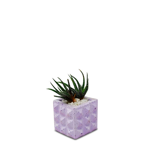 Square Geometric Planter - Studio Palasa