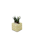 Square Geometric Planter - Studio Palasa