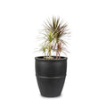 By Sunflower Planter Pot by Studio Palasa online India. This Outdoor and Indoor Black planter pot can be used to plant large trees or tall plants. Buy Planters online India