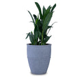 By Sunflower Planter Pot by Studio Palasa online India. This Outdoor and Indoor grey planter pot can be used to plant large trees or tall plants.
