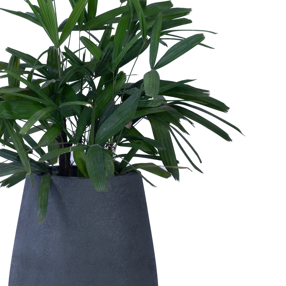 Teardrop Medium Planter - Studio Palasa