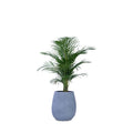 Teardrop Small Planter - Studio Palasa