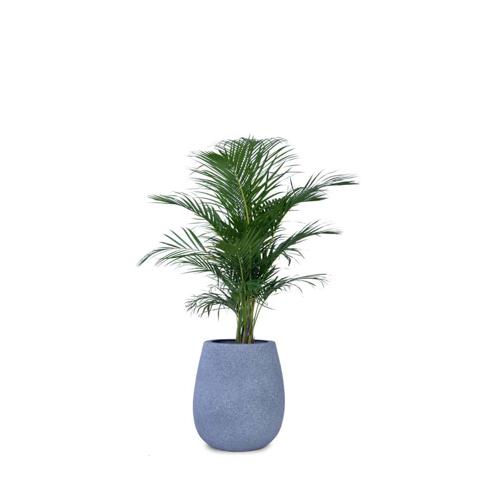Teardrop Small Planter - Studio Palasa