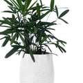 Teardrop Small Planter - Studio Palasa