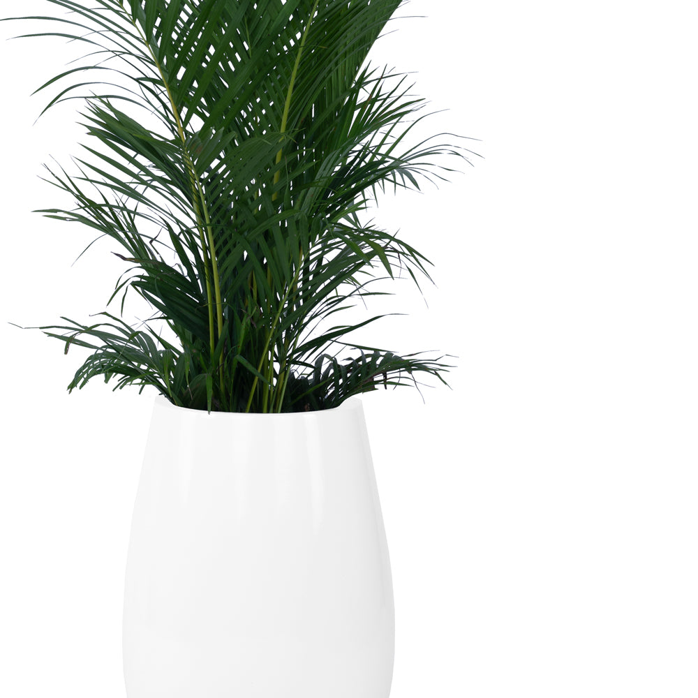 Teardrop Medium Planter - Studio Palasa