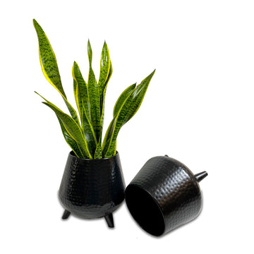 UFO Planter Black