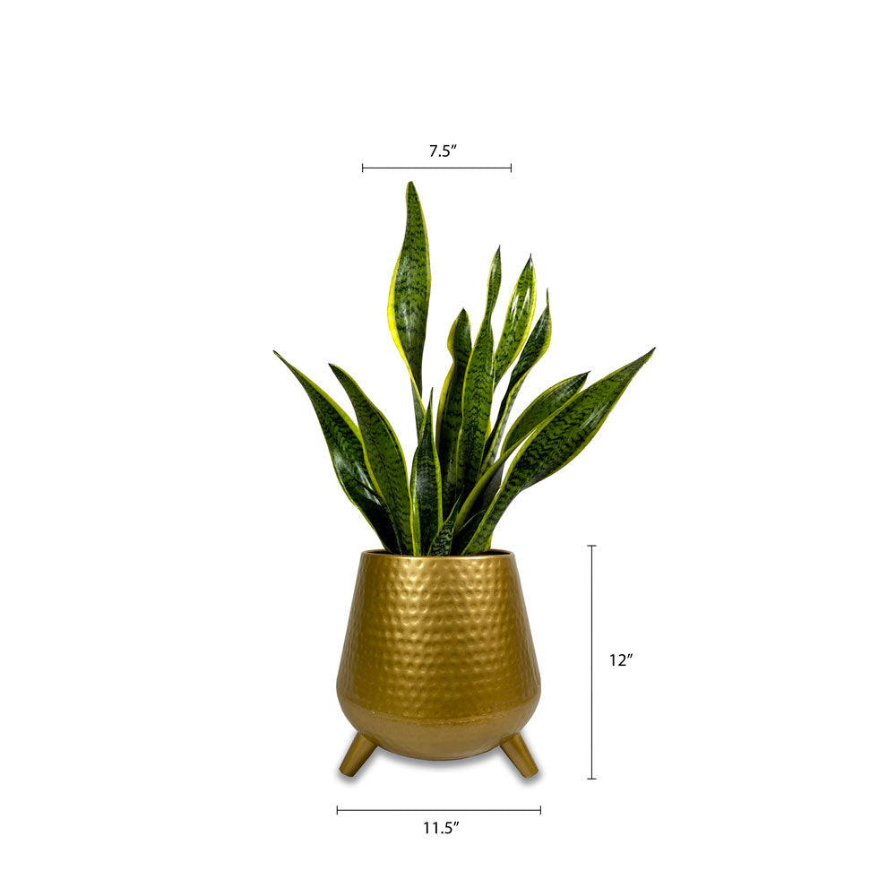 UFO Planter Gold - Studio Palasa