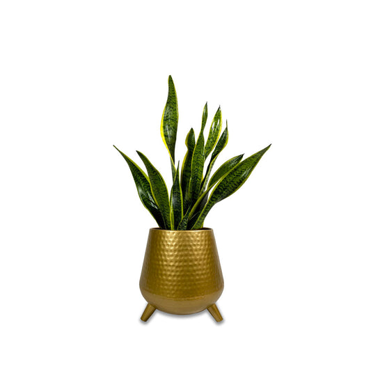 UFO Planter Gold - Studio Palasa