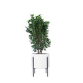 Whirlpool Planter With Metal Stands - Studio Palasa