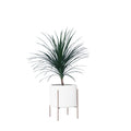 Whirlpool Planter With Metal Stands - Studio Palasa