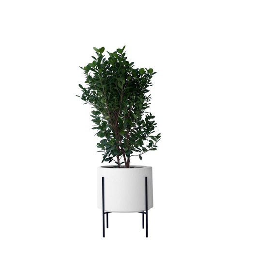 Whirlpool Planter With Metal Stands - Studio Palasa